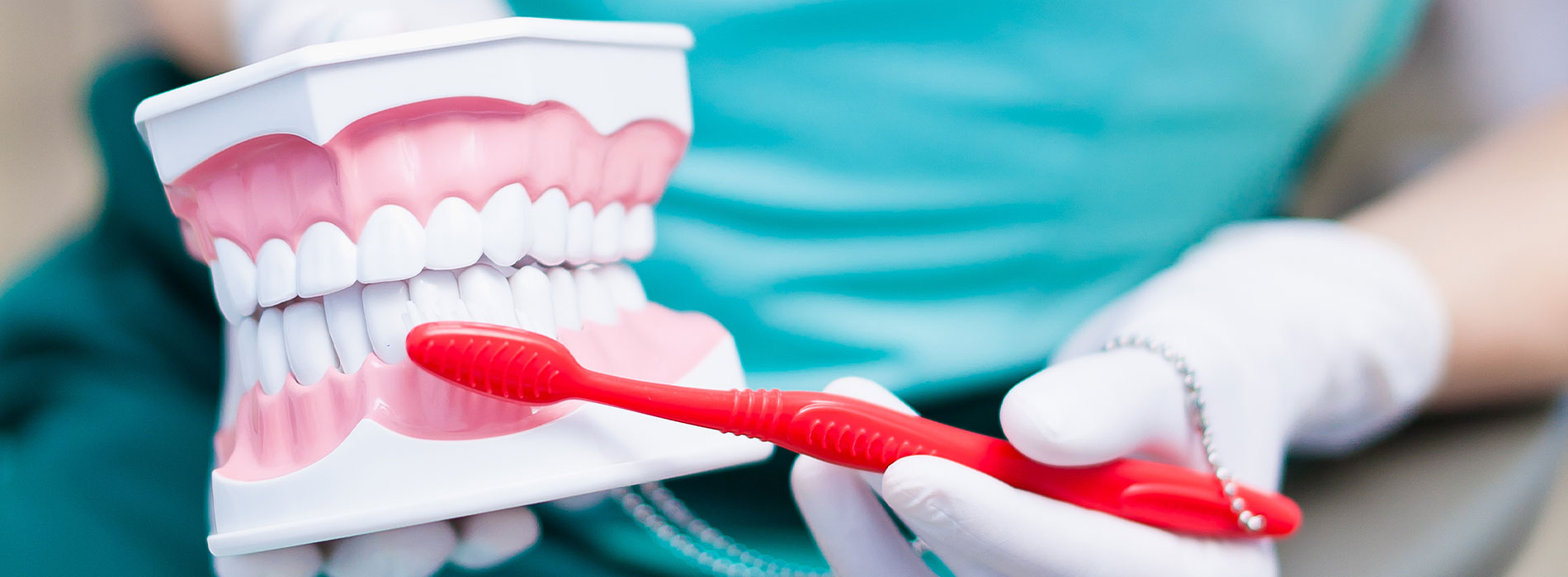 The image shows a pair of hands with red-tipped nails holding a toothbrush, positioned next to an open mouth dental model with a toothbrush bristle inserted into its teeth, set against a blurred background that appears to be an indoor setting with medical equipment and a person wearing a white coat.