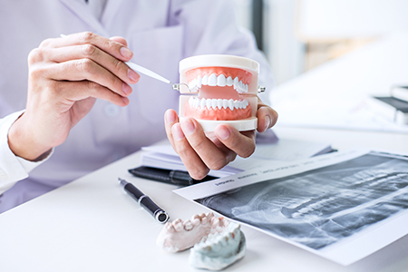 The image shows a dentist holding up a tooth model with a magnifying glass, while another part of the image features a close-up of dental tools on a table.